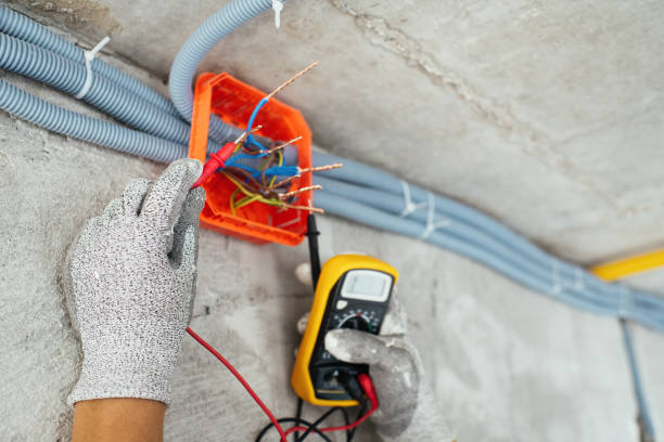 Best Ceiling Fan Installation Electrician  in Delta, CO
